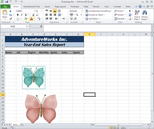 excel file with image